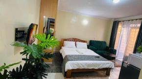 Furnished Studio Apartment at BG Crown Z Towers, Opposite Quickmart Kamakis